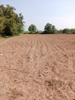  Agricultural Land 60000 Sq.ft. for Sale in Chikhli, Navsari