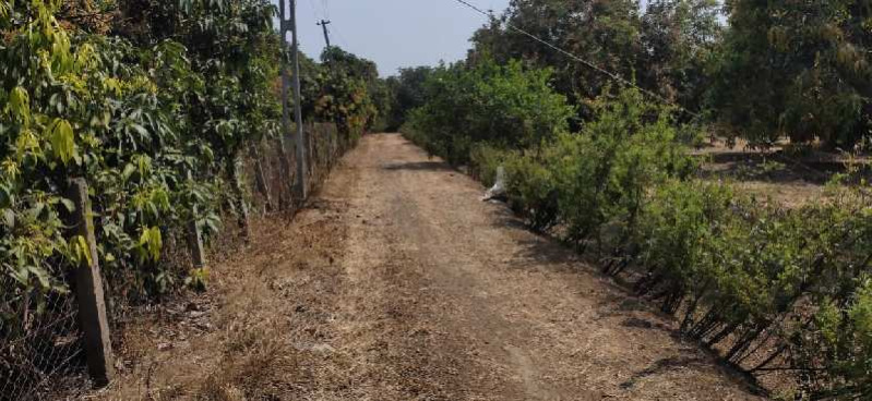  Agricultural Land 45 Acre for Sale in Pardi, Valsad