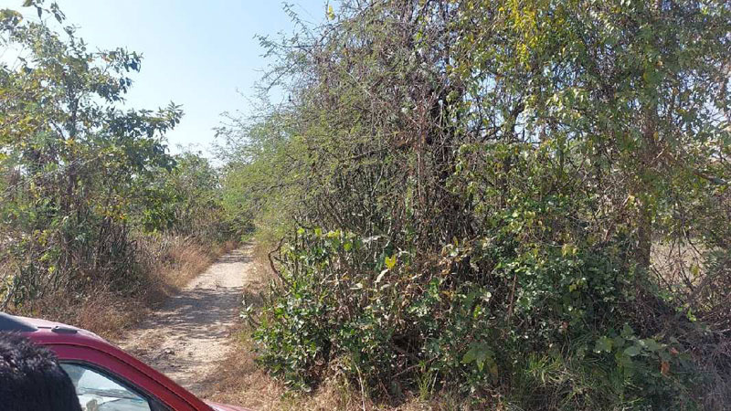  Agricultural Land 42 Guntha for Sale in Dharampur, Valsad