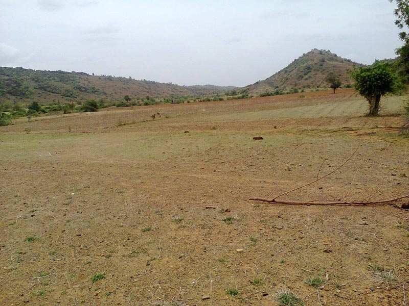  Agricultural Land 27 Acre for Sale in Umbergaon, Valsad