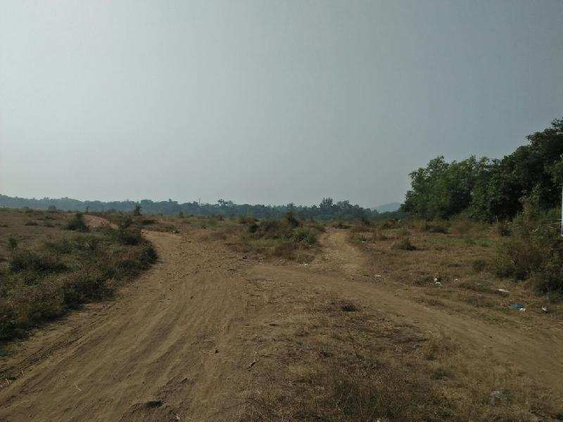  Agricultural Land 22 Acre for Sale in Umbergaon, Valsad