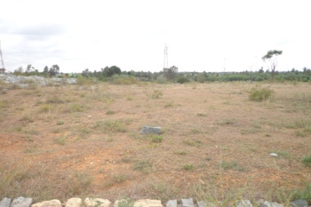  Industrial Land for Sale in Chikhli, Navsari