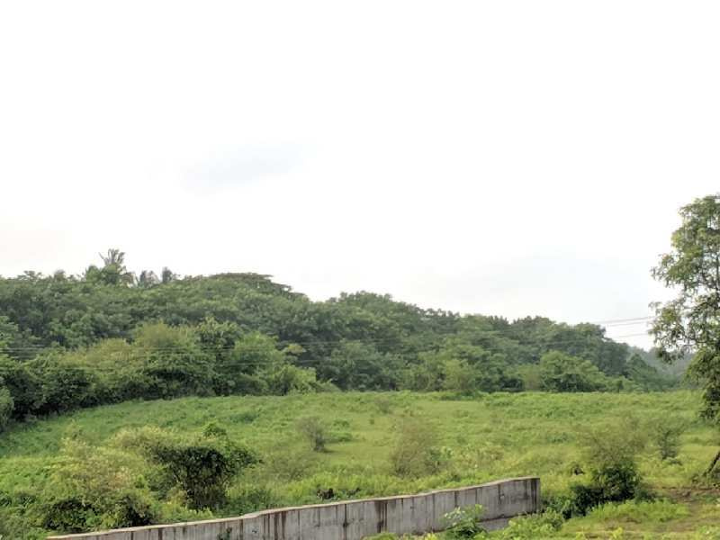  Industrial Land 40 Guntha for Sale in Kilvani Naka, Silvassa