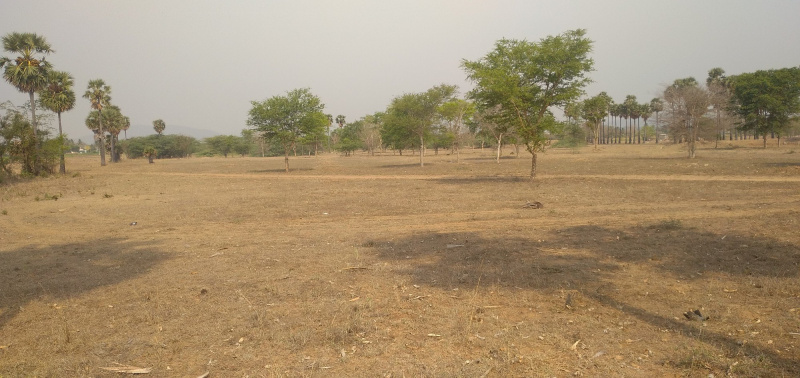  Agricultural Land 150 Acre for Sale in Umbergaon, Valsad