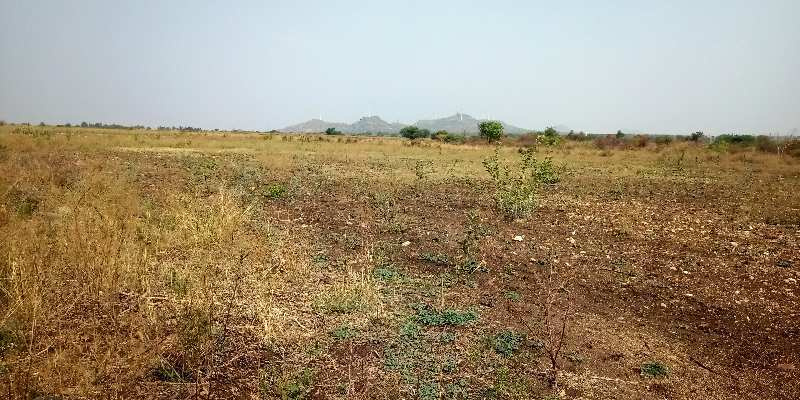  Agricultural Land 150 Acre for Sale in Umbergaon, Valsad