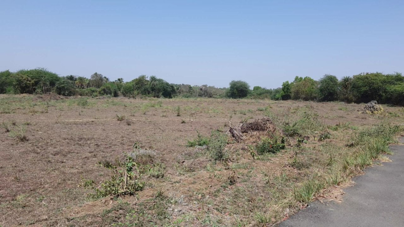  Industrial Land 20 Acre for Sale in Umbergaon, Valsad