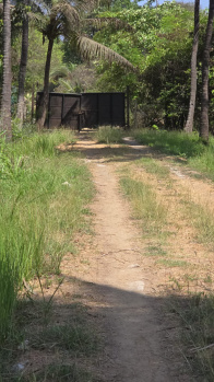  Agricultural Land for Sale in Sanjan, Valsad
