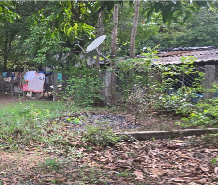  Agricultural Land 2 Acre for Sale in Bordi, Palghar