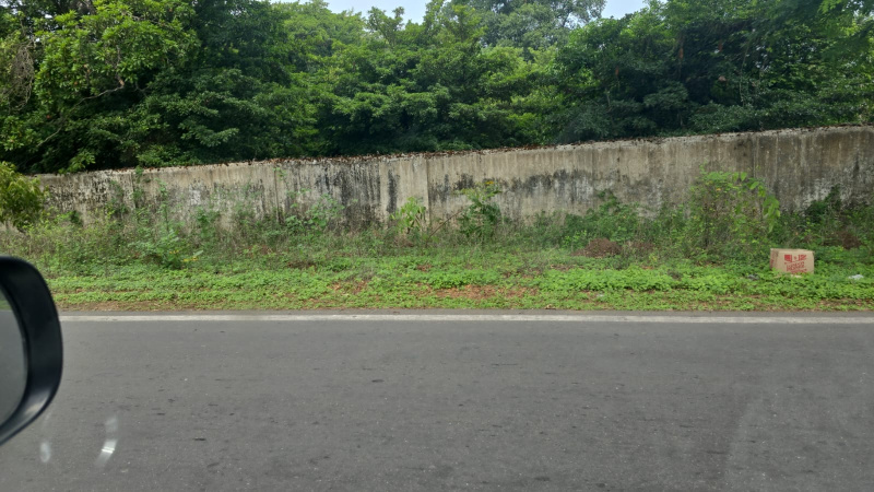  Agricultural Land 10 Acre for Sale in Gholvad, Palghar