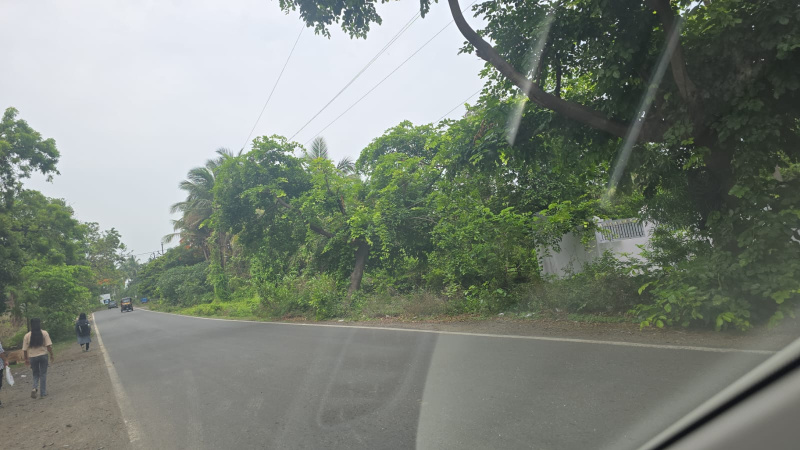  Agricultural Land 1 Acre for Sale in Gholvad, Palghar