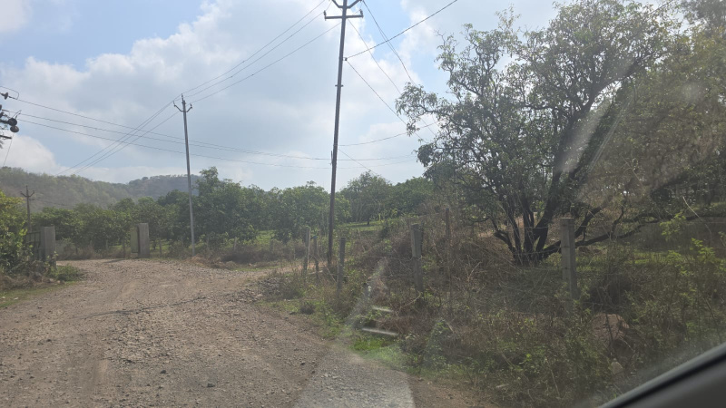  Agricultural Land 7 Acre for Sale in Bhilad, Valsad
