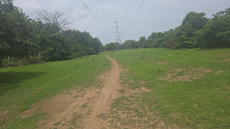  Agricultural Land 2 Acre for Sale in Bordi, Palghar