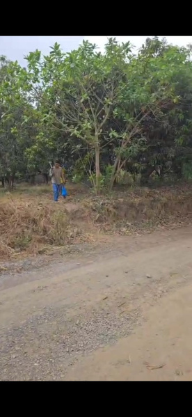  Industrial Land 16000 Sq. Meter for Sale in Tukwada, Vapi