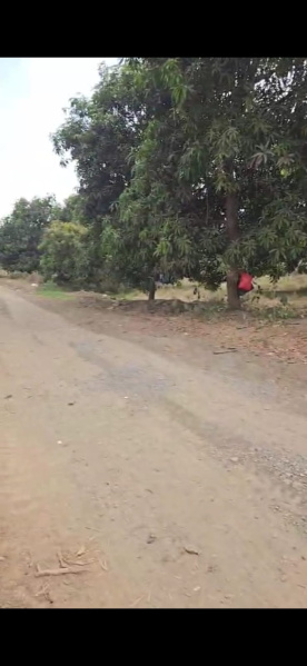  Industrial Land 16000 Sq. Meter for Sale in Tukwada, Vapi