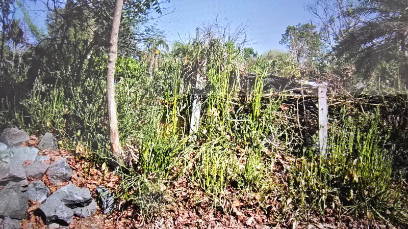  Industrial Land 16500 Sq. Meter for Sale in Umbergaon, Valsad