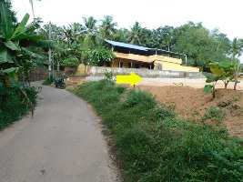  Residential Plot for Sale in Nedumangad, Thiruvananthapuram