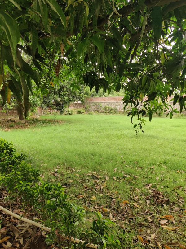 5 BHK Farm House 15000 Sq.ft. for Sale in DLF Chattarpur Farms