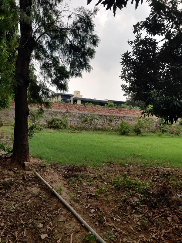 5 BHK Farm House 15000 Sq.ft. for Sale in DLF Chattarpur Farms