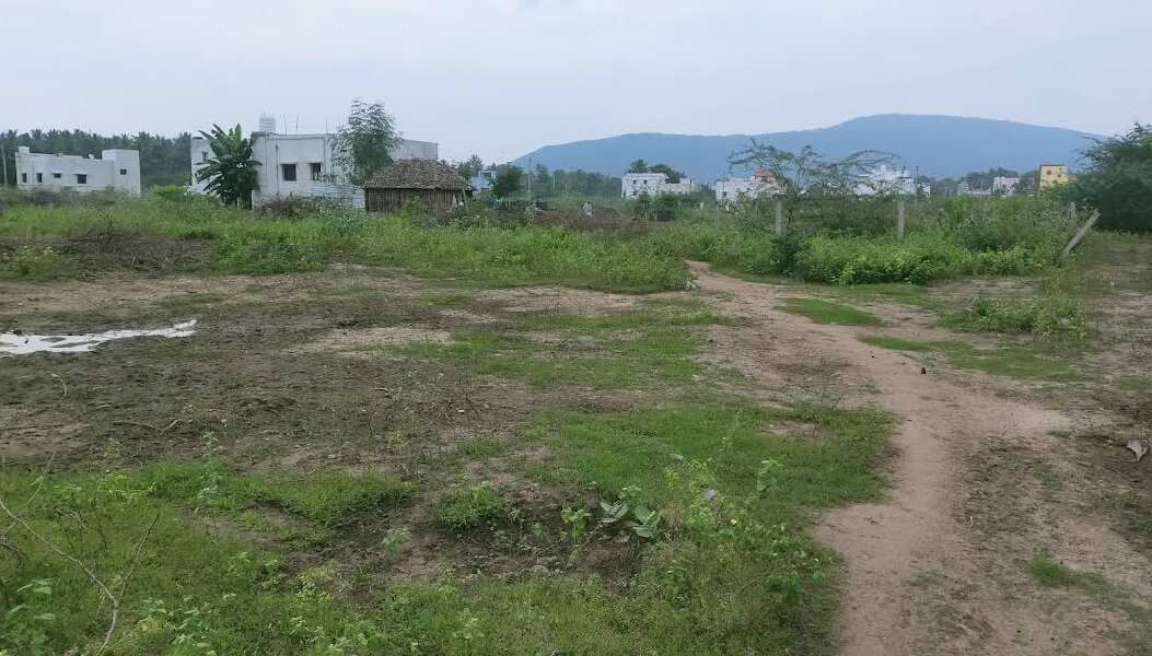  Residential Plot 2429 Sq.ft. for Sale in Chellampatty, Madurai