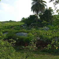  Agricultural Land for Sale in Punganur, Chittoor