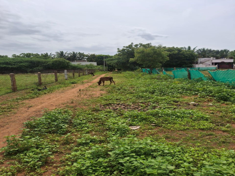  2600 Sq.ft. Residential Plot for Sale in Srirangam, Tiruchirappalli