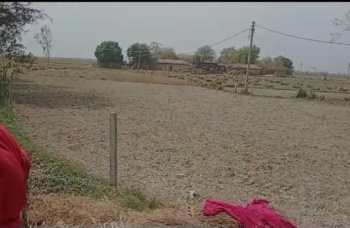  Agricultural Land for Sale in Pindra, Varanasi