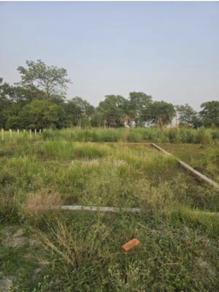 Ramnagar Road, Kashipur photo 2