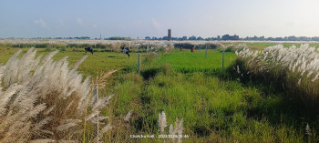  Residential Plot for Sale in Turki, Muzaffarpur