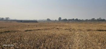  Residential Plot for Sale in Pithoria, Ranchi