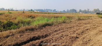  Residential Plot for Sale in Naubatpur, Patna