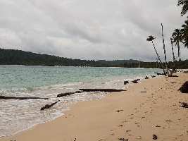  Residential Plot for Sale in Great nicobar island, Andaman, Andaman