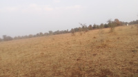  Agricultural Land for Sale in Katol, Nagpur