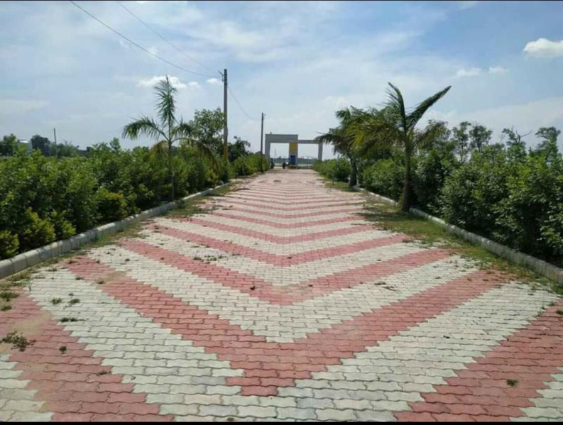  Residential Plot 999 Sq.ft. for Sale in Ramnagar, Varanasi