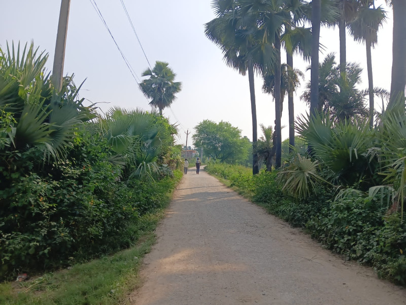  Residential Plot 1188 Sq.ft. for Sale in Ramnagar, Varanasi