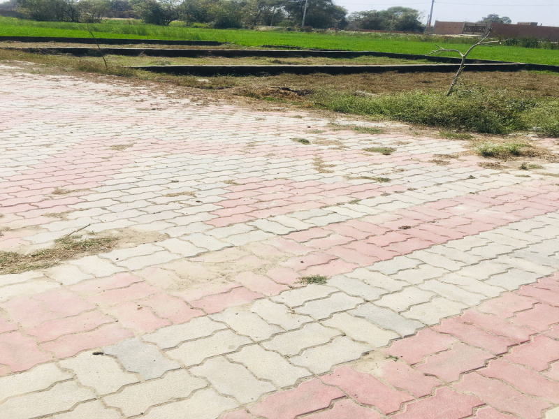  Residential Plot 11033 Sq.ft. for Sale in Ramnagar, Varanasi