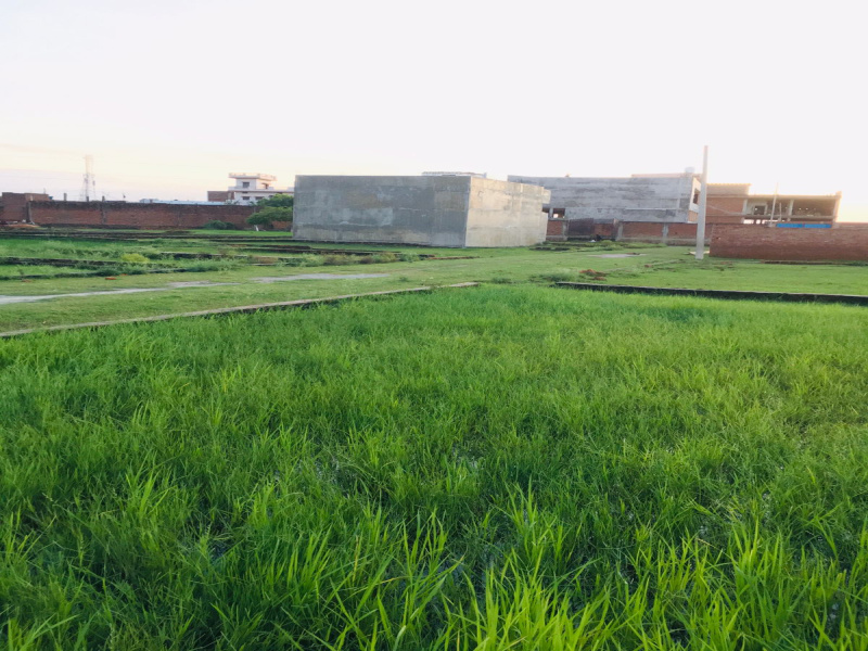  Residential Plot 1010 Sq.ft. for Sale in Ramnagar, Varanasi