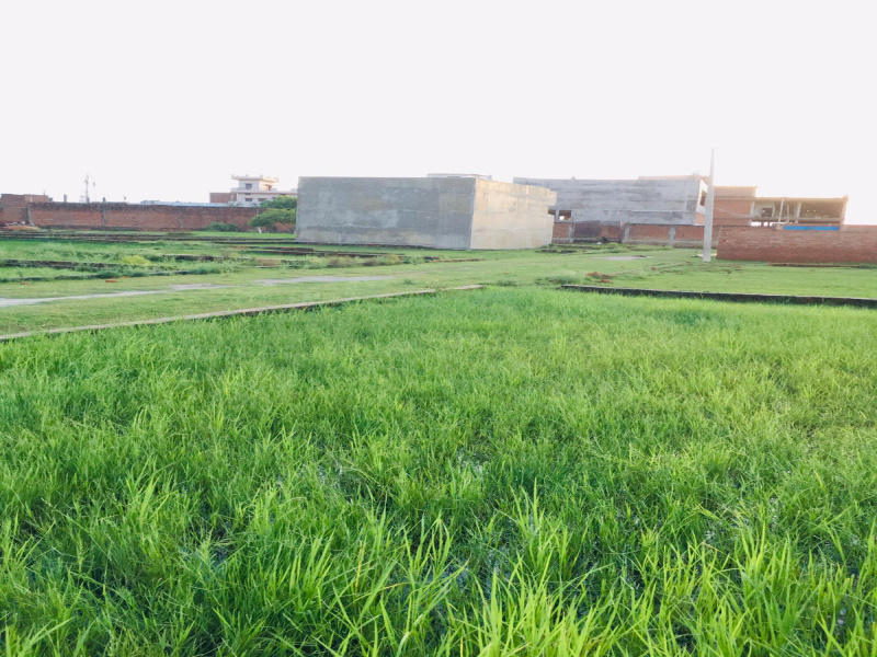  Residential Plot 1010 Sq.ft. for Sale in Ramnagar, Varanasi