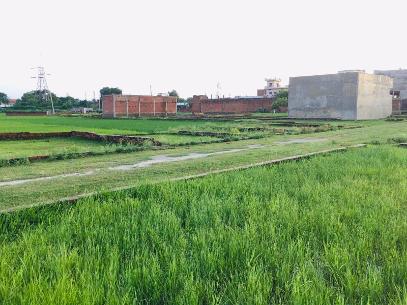  Residential Plot 1010 Sq.ft. for Sale in Ramnagar, Varanasi