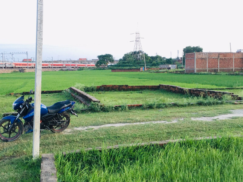  Residential Plot 2020 Sq.ft. for Sale in Ramnagar, Varanasi