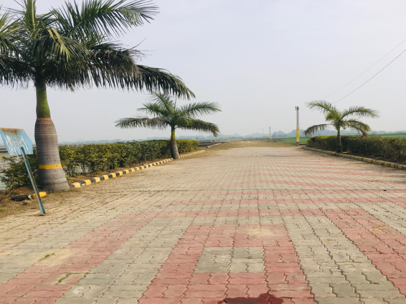  Residential Plot 1223 Sq.ft. for Sale in Ramnagar, Varanasi