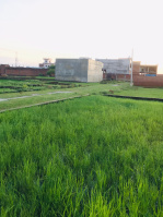  Residential Plot for Sale in Ramnagar, Varanasi