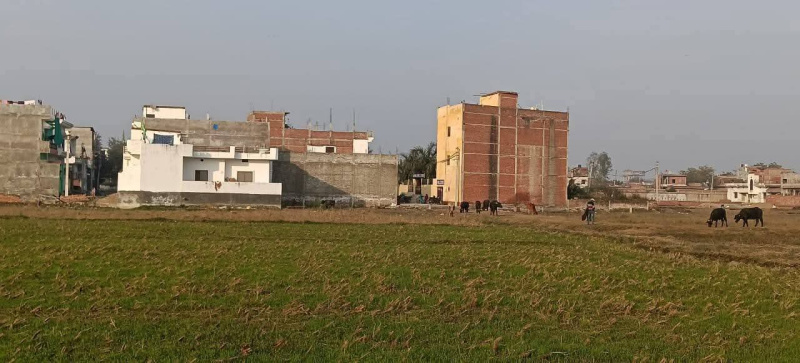  1002 Sq.ft. Residential Plot for Sale in Ramnagar, Varanasi