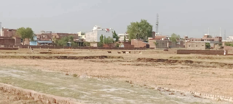  1002 Sq.ft. Residential Plot for Sale in Ramnagar, Varanasi