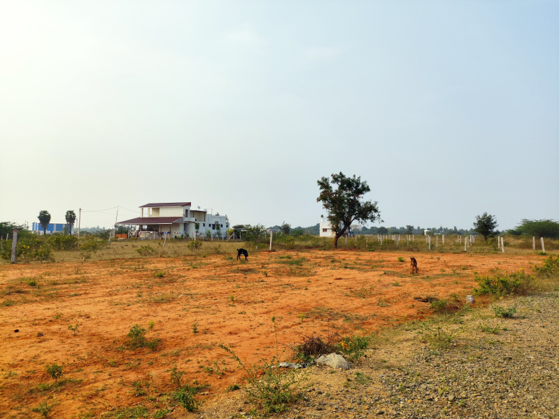  2100 Sq.ft. Residential Plot for Sale in Olaiyur, Tiruchirappalli
