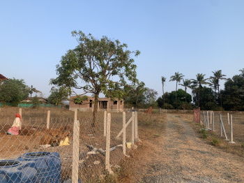  Agricultural Land for Sale in Borli, Raigad