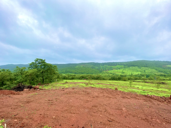  Residential Plot for Sale in Roha, Raigad