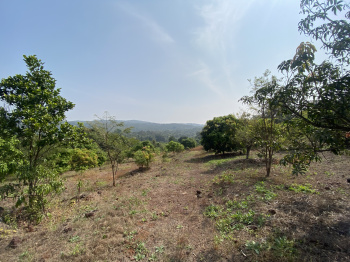  Residential Plot for Sale in Roha, Raigad