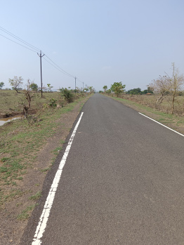  Agricultural Land for Sale in Mohpa, Nagpur
