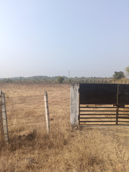  Agricultural Land for Sale in Jafar Nagar, Nagpur