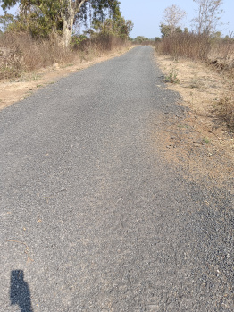  Agricultural Land for Sale in Katol, Nagpur